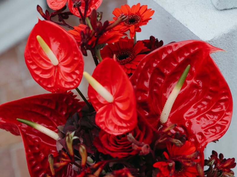 svatební květiny a kytice plzen